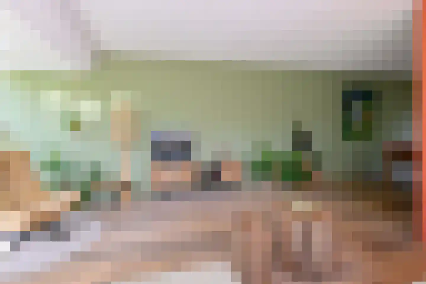 Holenduif 3 Olst thumbnail 6