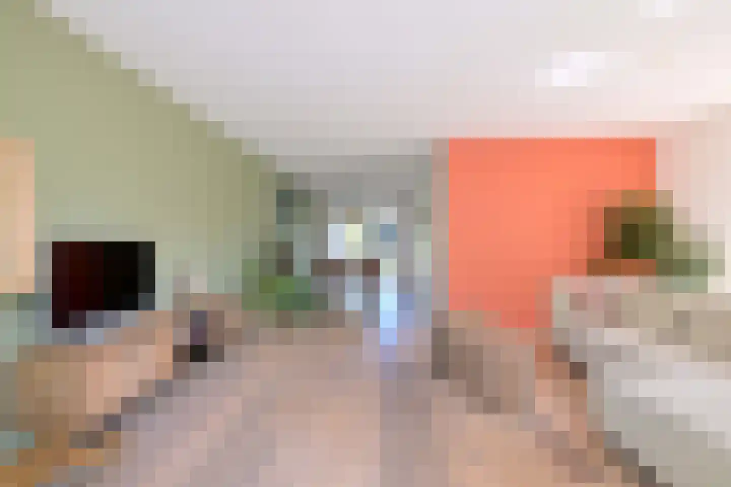 Holenduif 3 Olst thumbnail 7