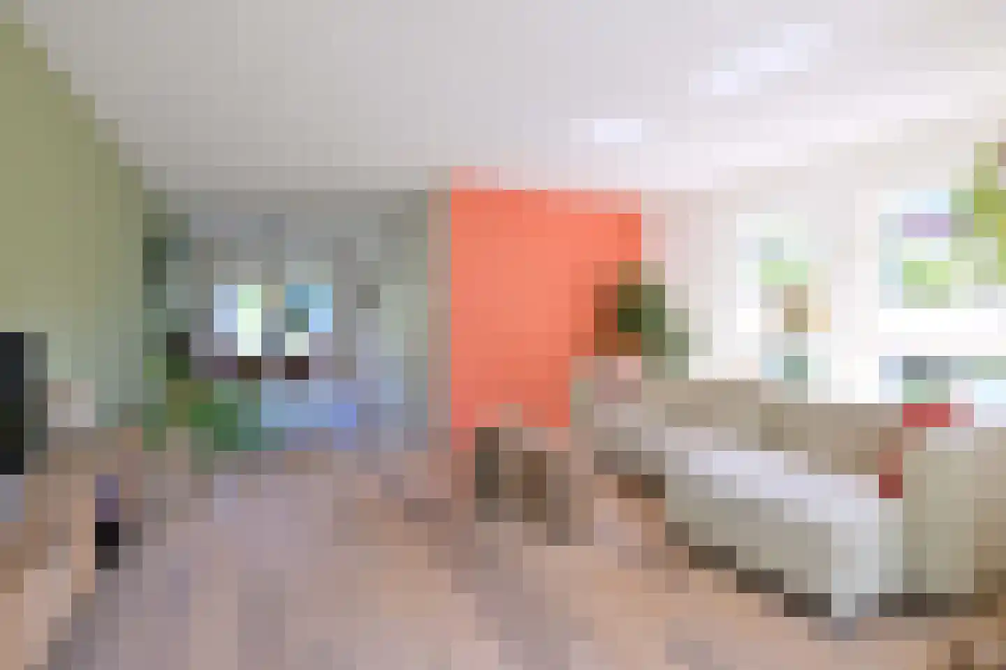 Holenduif 3 Olst thumbnail 8