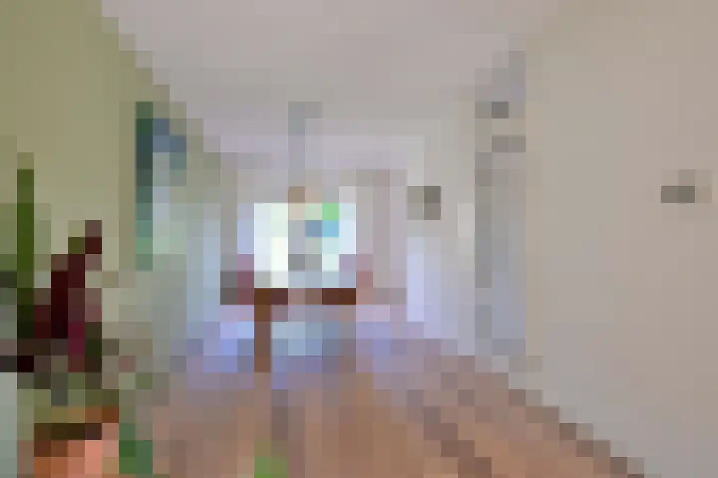 Holenduif 3 Olst thumbnail 9