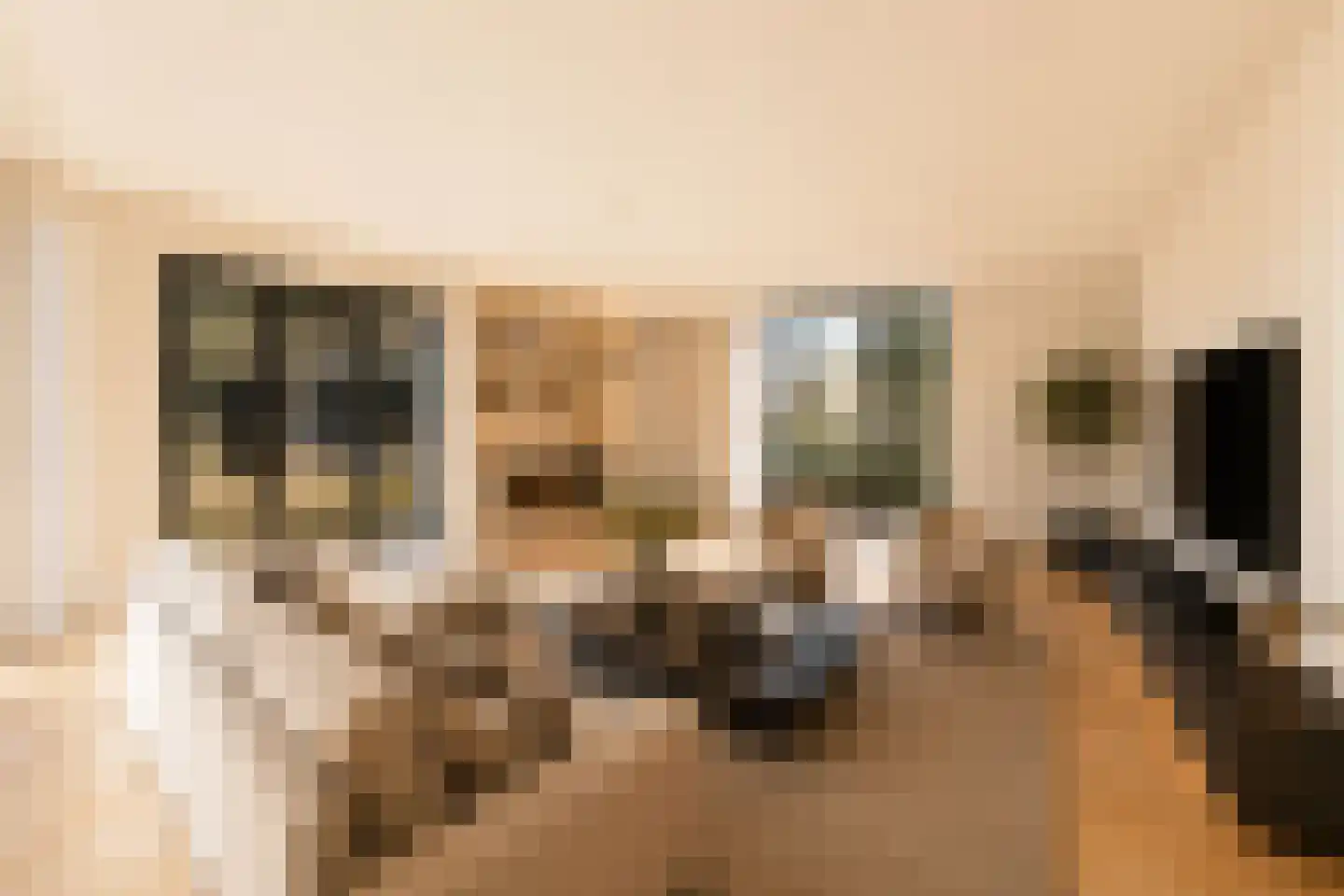 Holenduif 6 Muiden thumbnail 10
