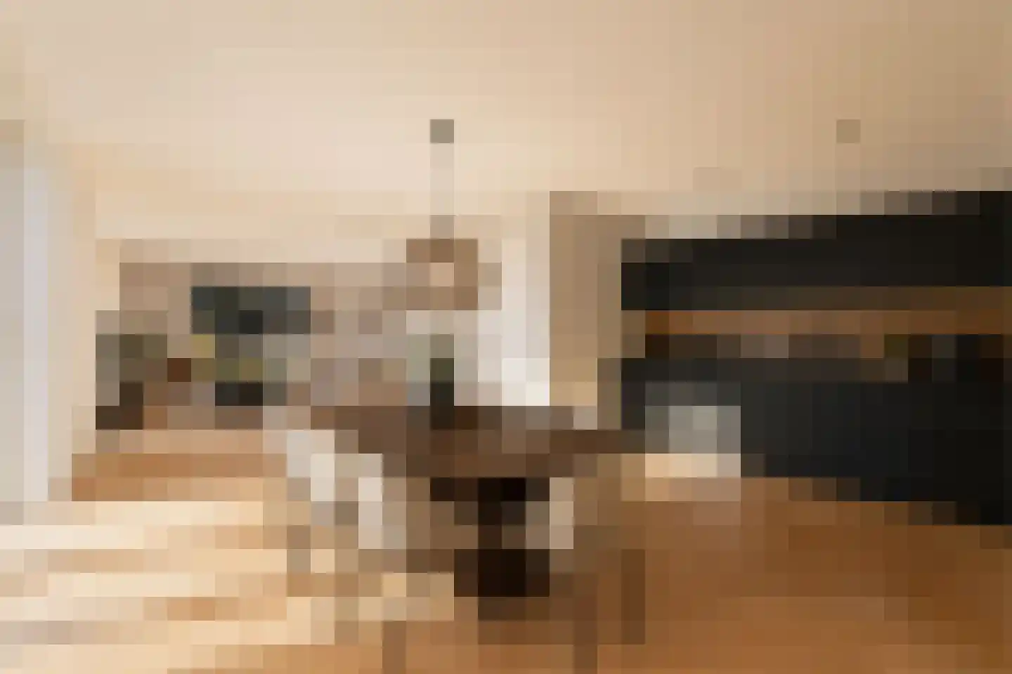 Holenduif 6 Muiden thumbnail 11