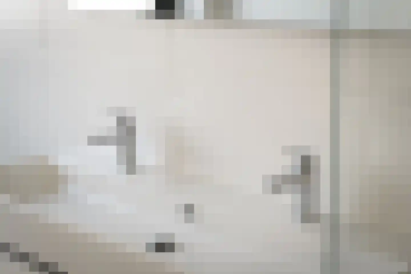 Holenduif 6 Muiden thumbnail 17