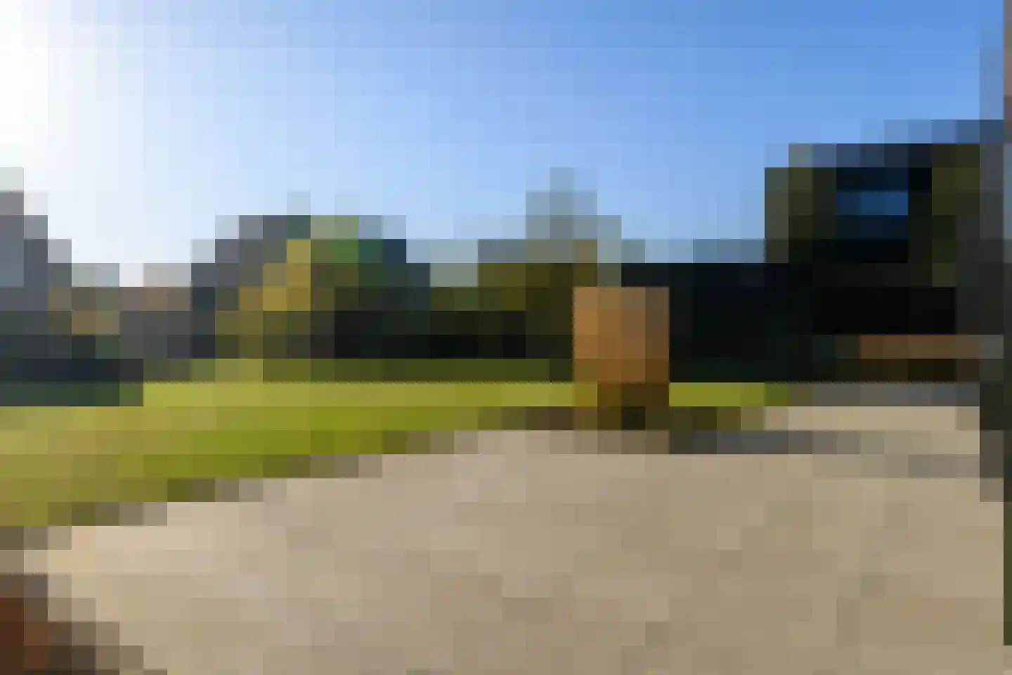 Holenduif 6 Muiden thumbnail 20