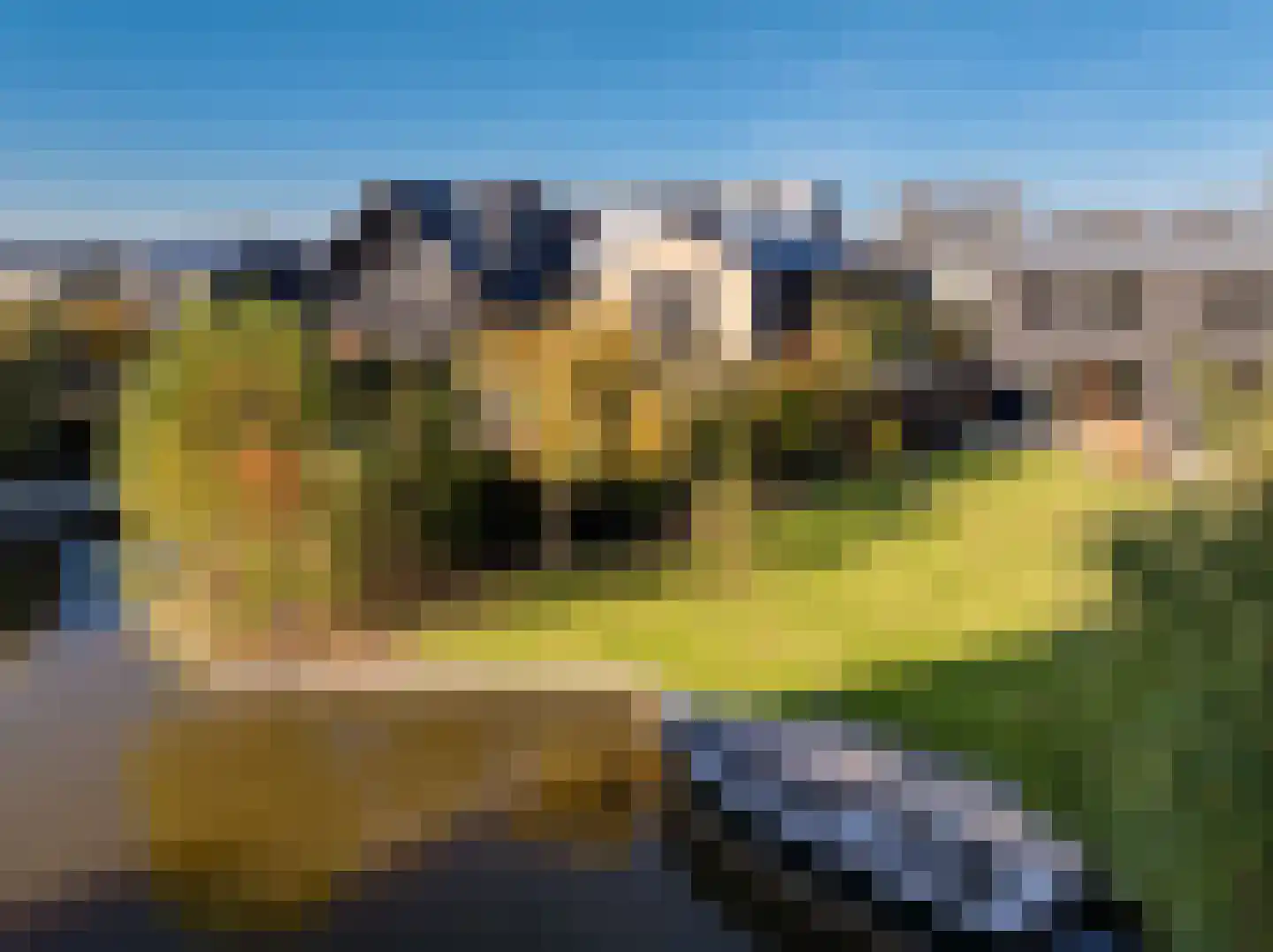 Holenduif 6 Muiden thumbnail 21