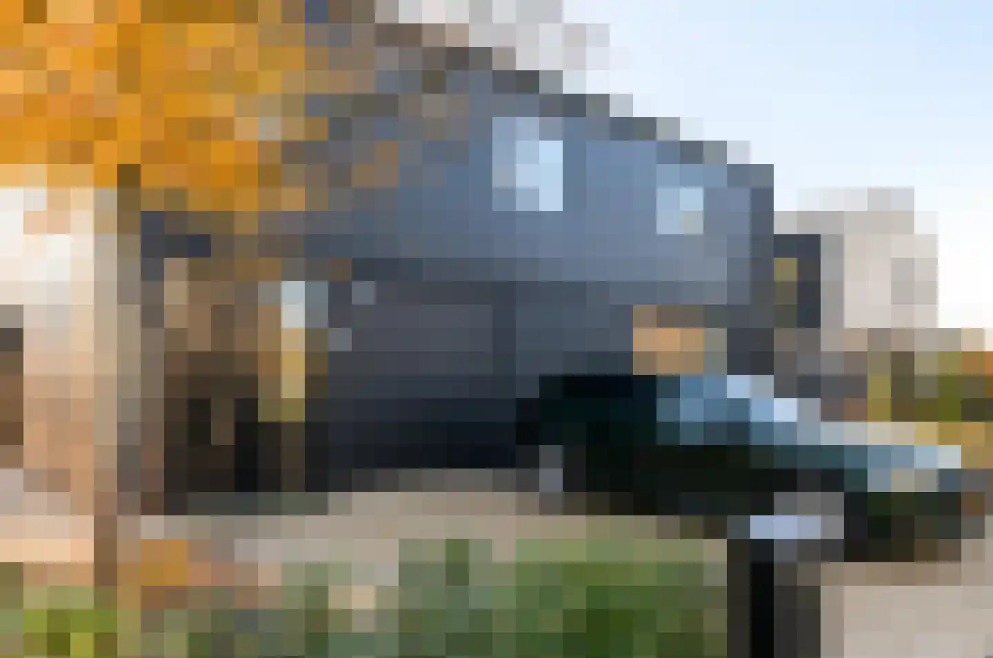 Holenduif 6 Muiden thumbnail 27