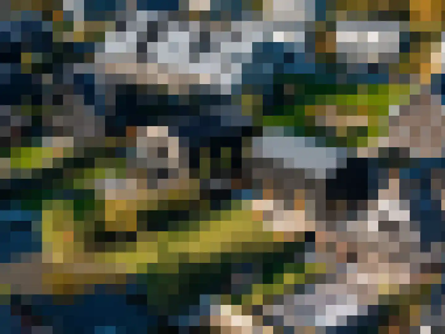 Holenduif 6 Muiden thumbnail 28