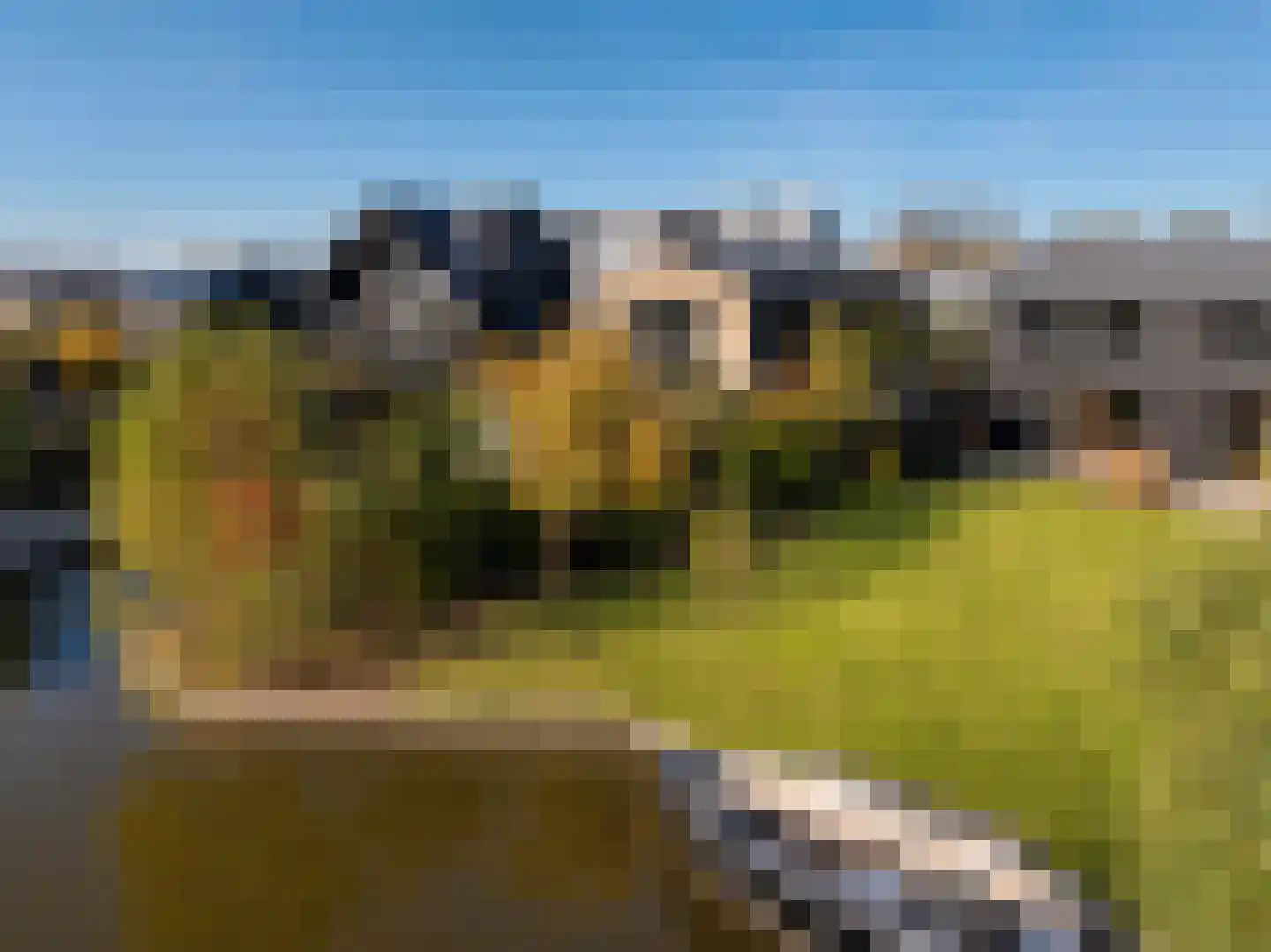 Holenduif 6 Muiden thumbnail 4