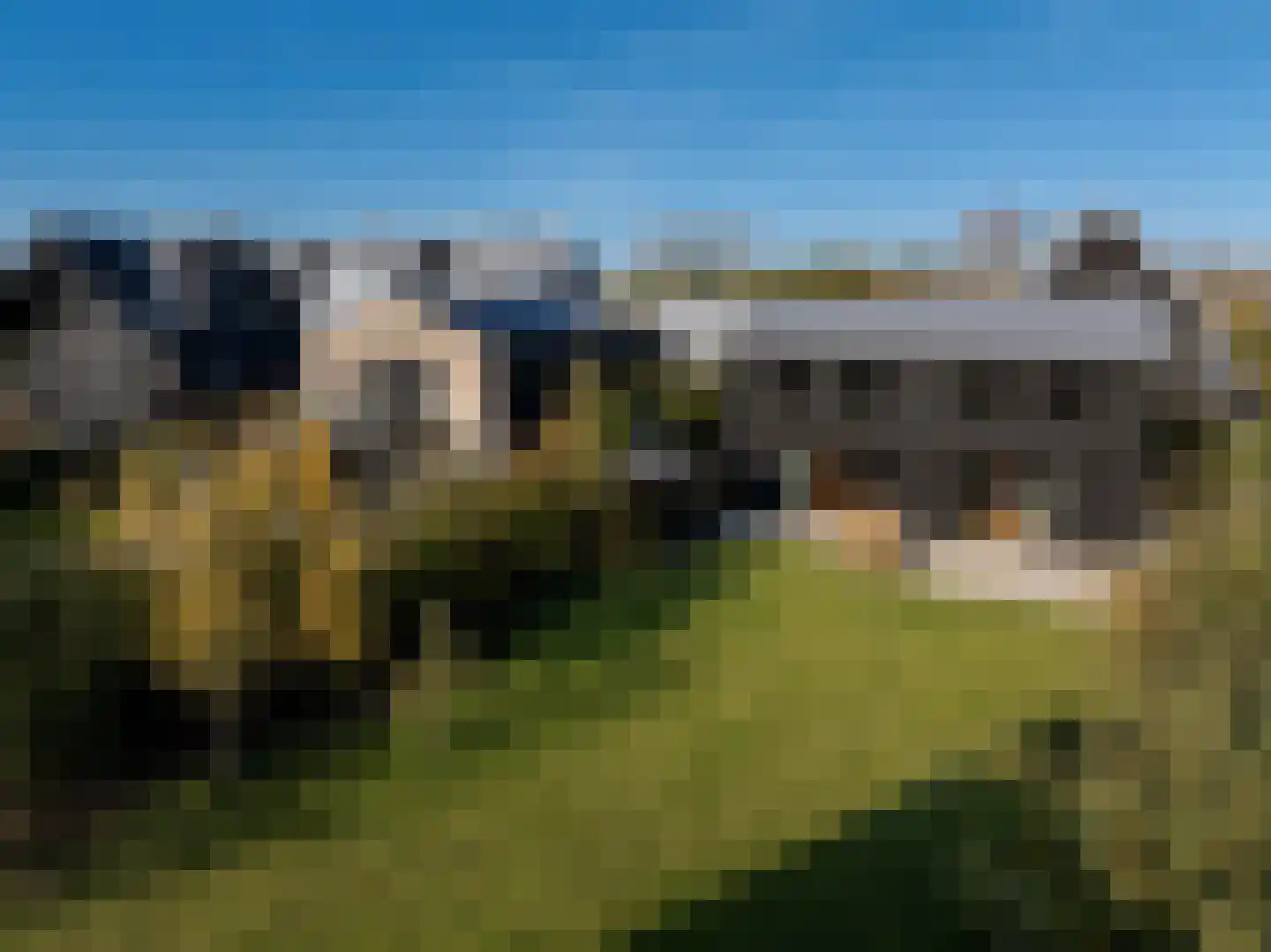 Holenduif 6 Muiden thumbnail 6