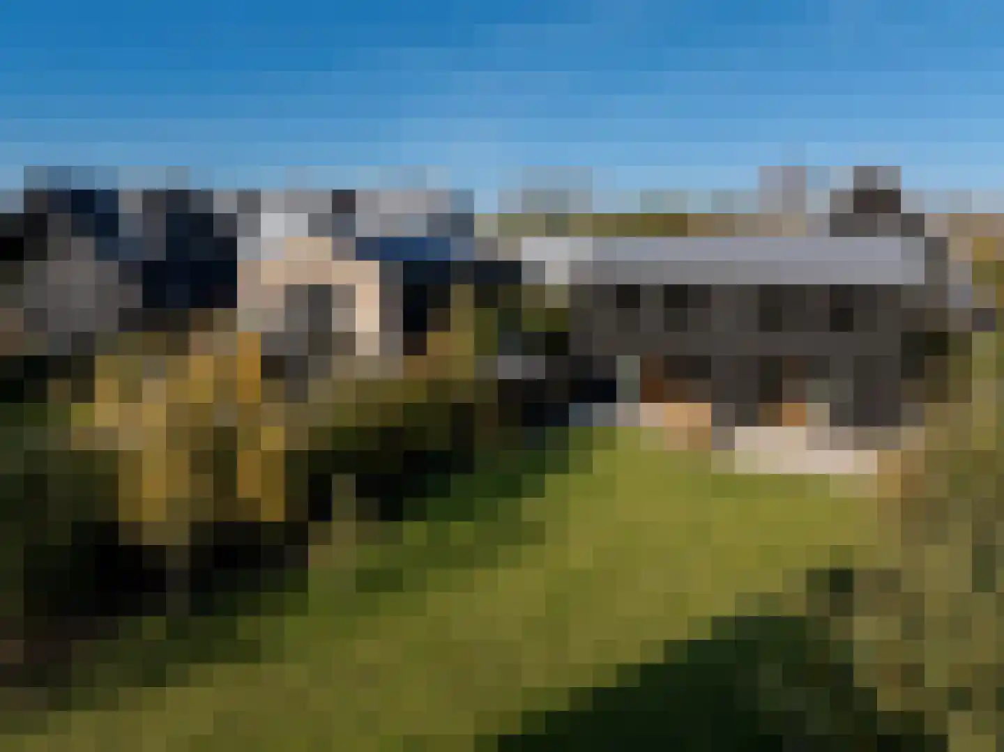 Holenduif 6 Muiden thumbnail 6
