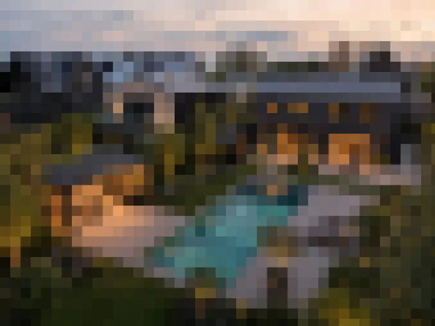Holenduif 6 Muiden thumbnail 7