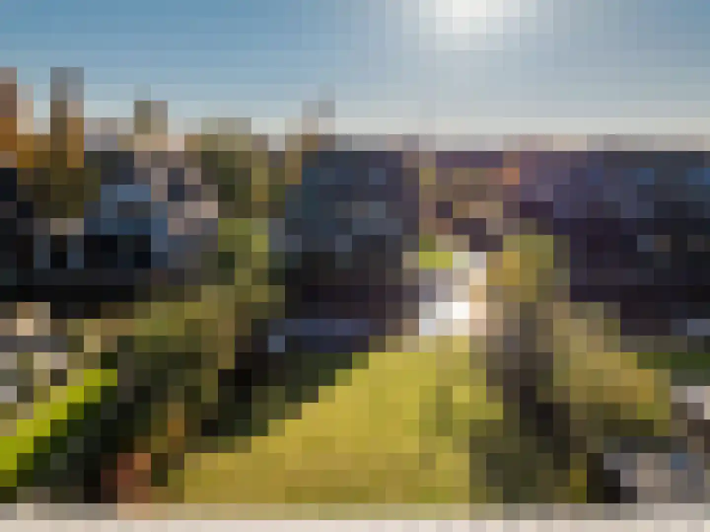 Holenduif 6 Muiden thumbnail 8