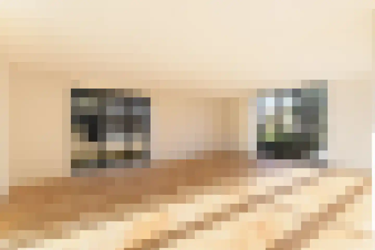 Holenduif 6 Muiden thumbnail 8