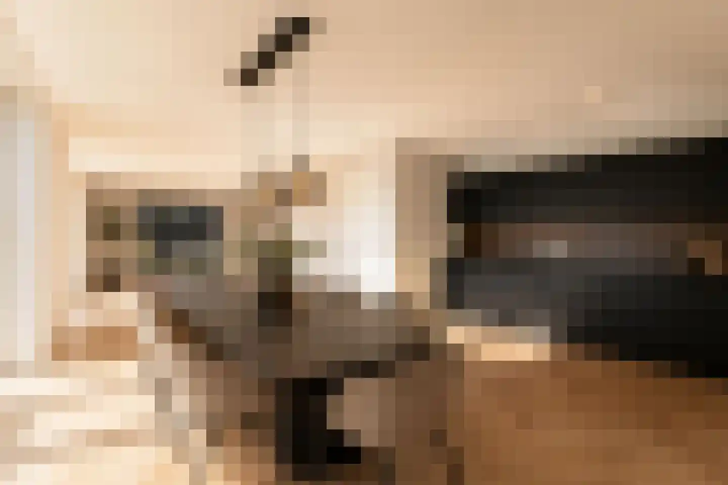 Holenduif 6 Muiden thumbnail 9
