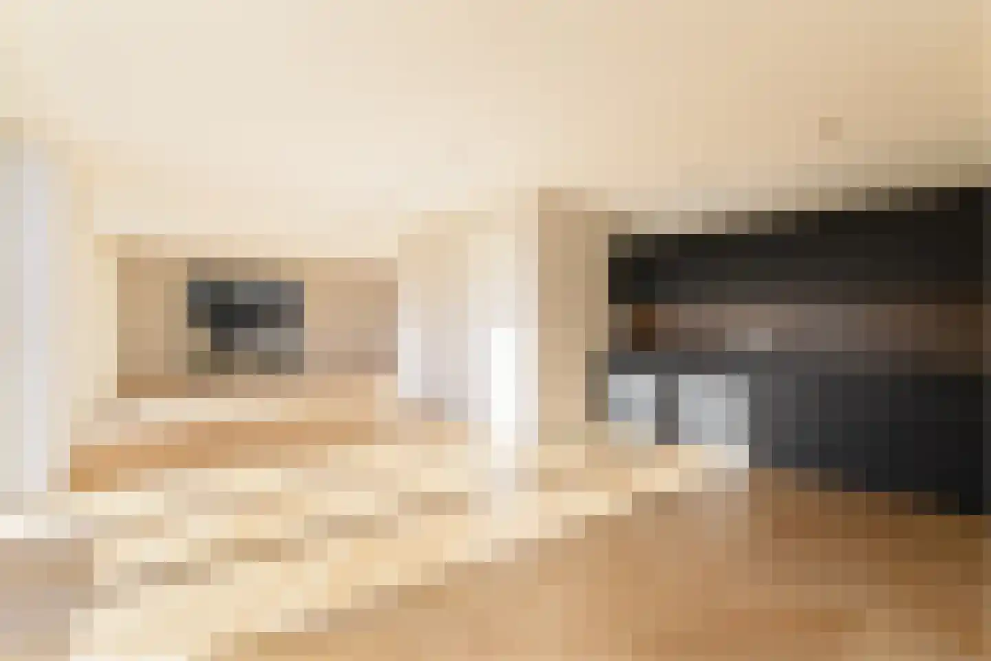 Holenduif 6 Muiden thumbnail 9
