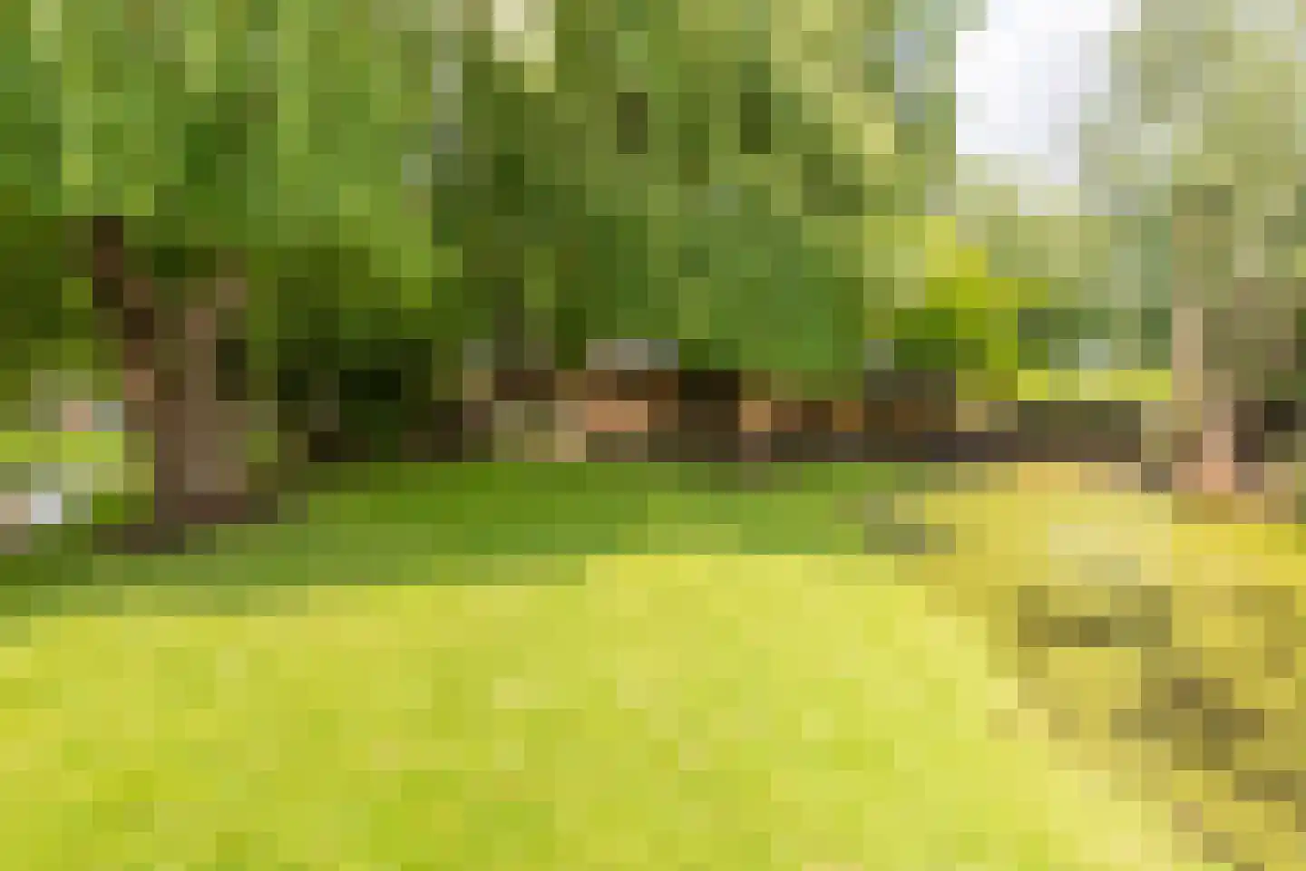 Holenweg 2 A Hoorn thumbnail 39