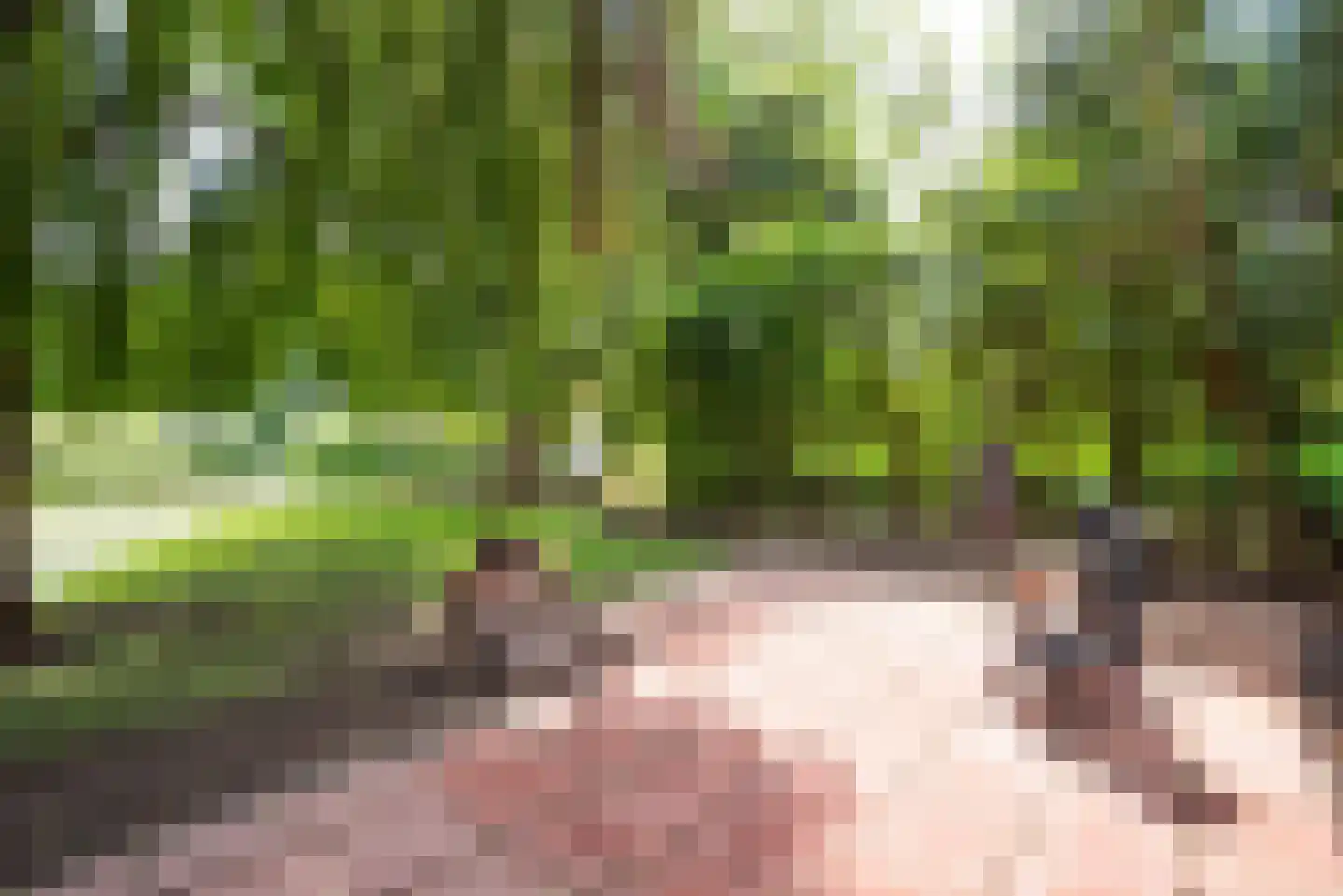 Holenweg 2 A Hoorn thumbnail 44