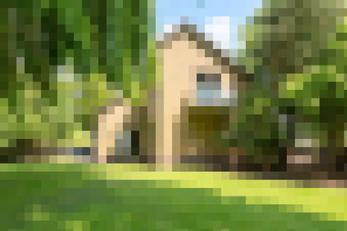 Holenweg 2 A Hoorn thumbnail 51