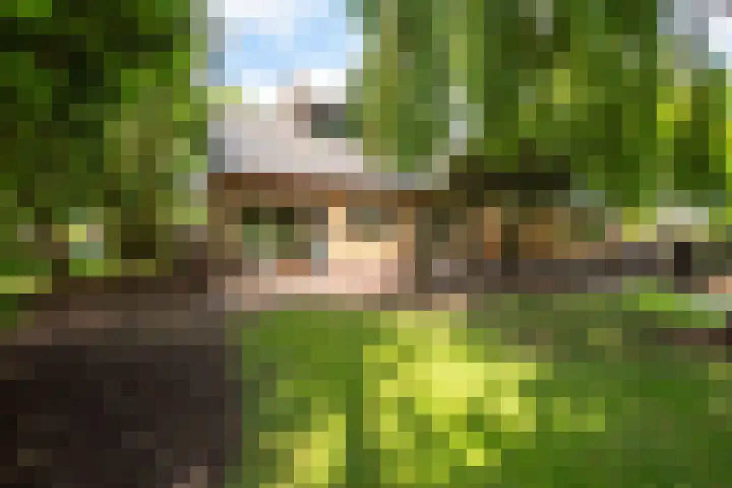 Holenweg 2 A Hoorn thumbnail 7