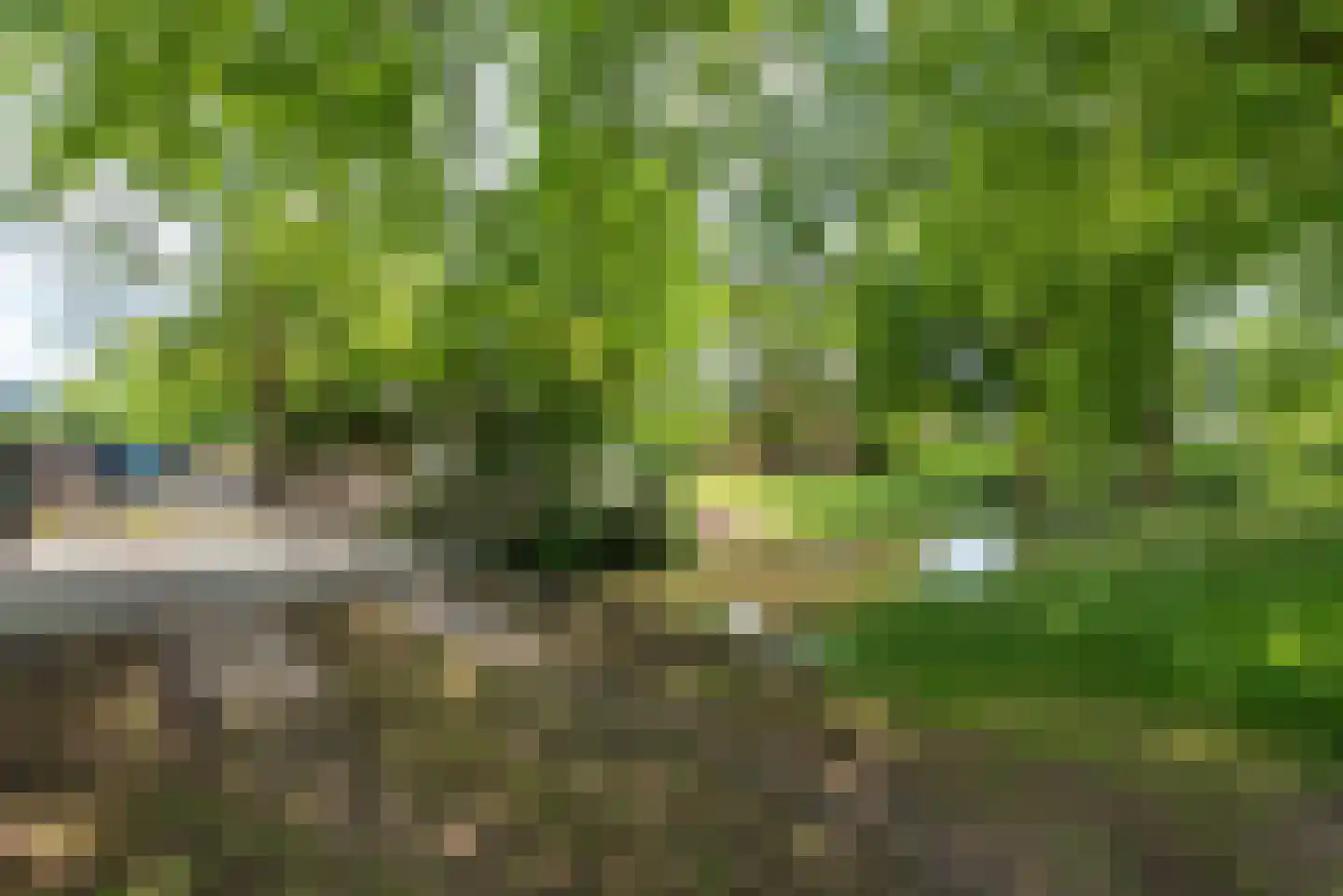 Holenweg 2 A Hoorn thumbnail 8