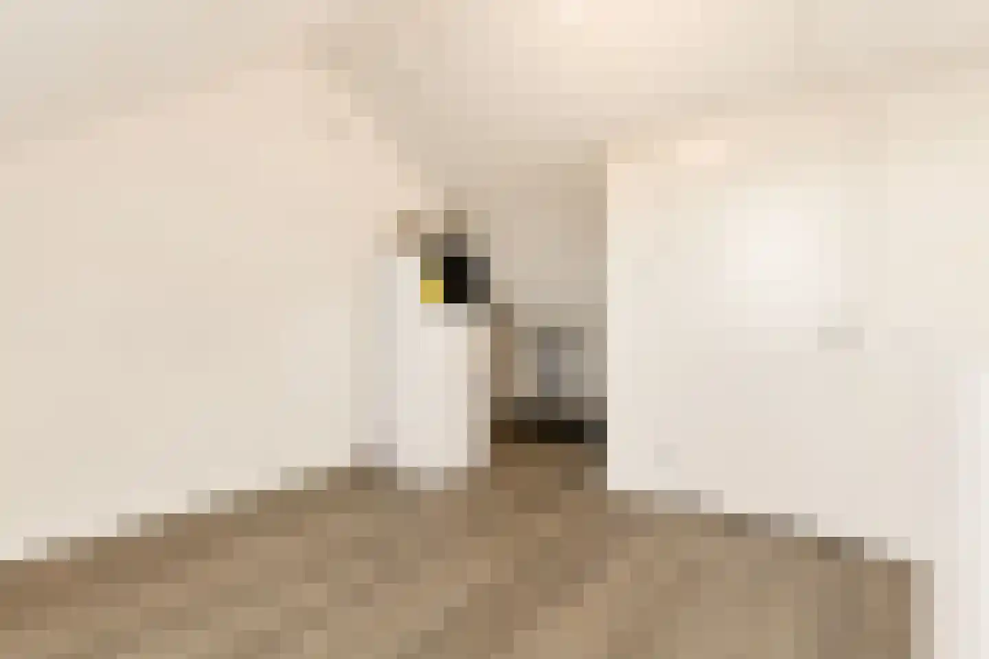 Holenweg 7 Diessen thumbnail 25
