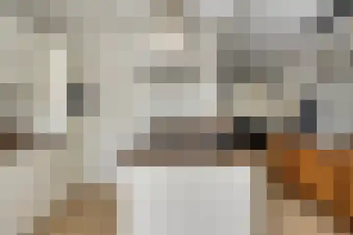 Holevoetlaan 44 d Scherpenzeel thumbnail 12