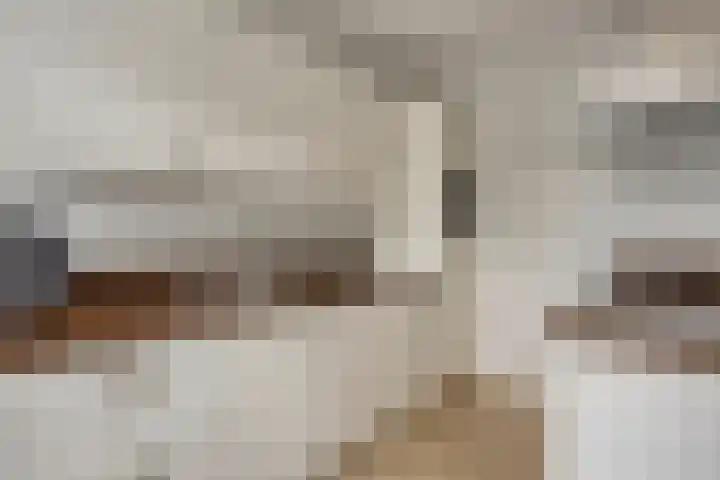Holevoetlaan 44 d Scherpenzeel thumbnail 13