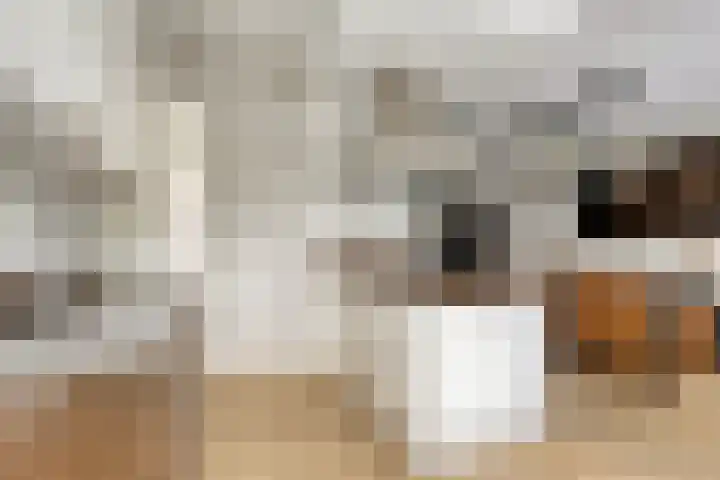 Holevoetlaan 44 d Scherpenzeel thumbnail 14