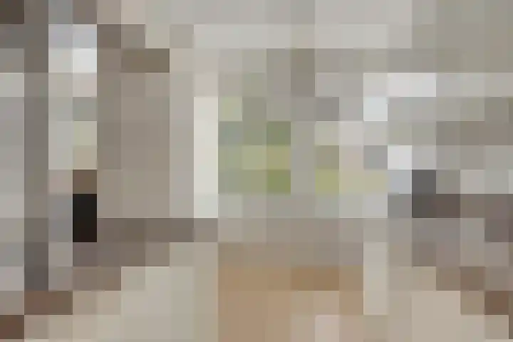 Holevoetlaan 44 d Scherpenzeel thumbnail 15