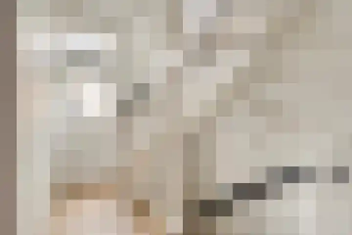Holevoetlaan 44 d Scherpenzeel thumbnail 19