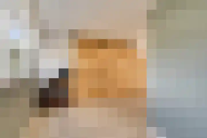 Holevoetlaan 44 d Scherpenzeel thumbnail 32