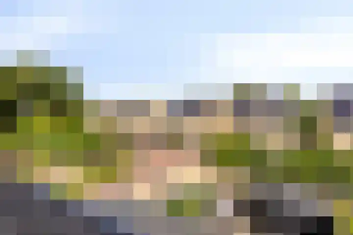 Holevoetlaan 44 d Scherpenzeel thumbnail 33