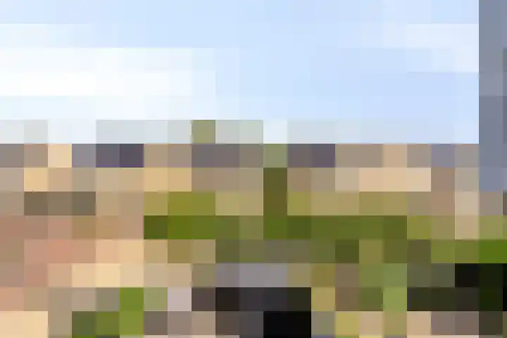 Holevoetlaan 44 d Scherpenzeel thumbnail 34
