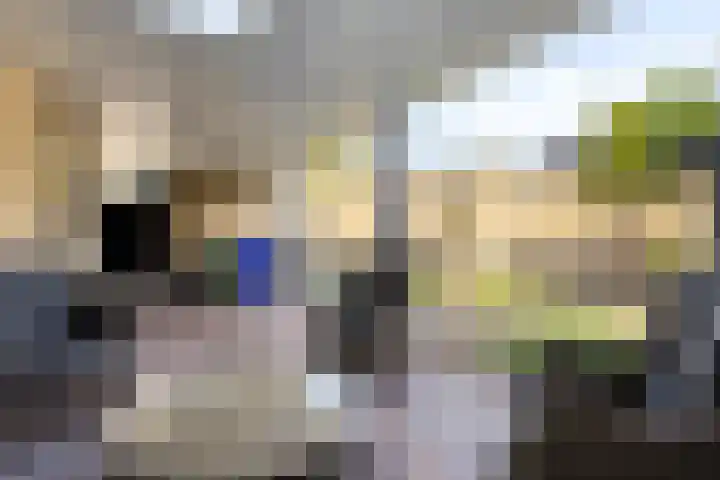 Holevoetlaan 44 d Scherpenzeel thumbnail 36