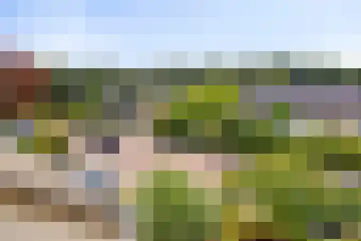 Holevoetlaan 44 d Scherpenzeel thumbnail 39