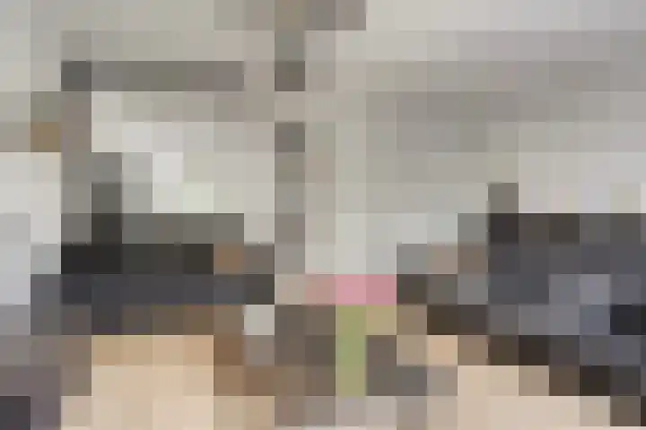 Holevoetlaan 44 d Scherpenzeel thumbnail 4