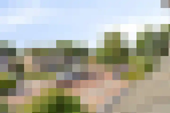 Holevoetlaan 44 d Scherpenzeel thumbnail 40
