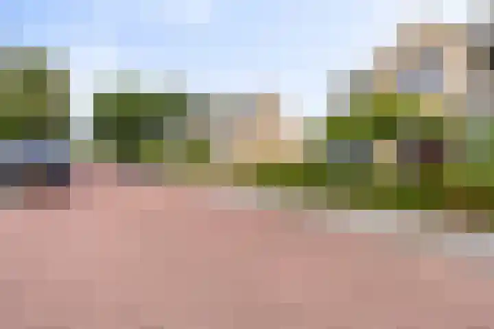 Holevoetlaan 44 d Scherpenzeel thumbnail 42