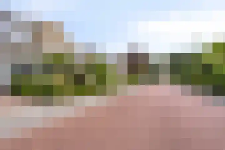 Holevoetlaan 44 d Scherpenzeel thumbnail 43