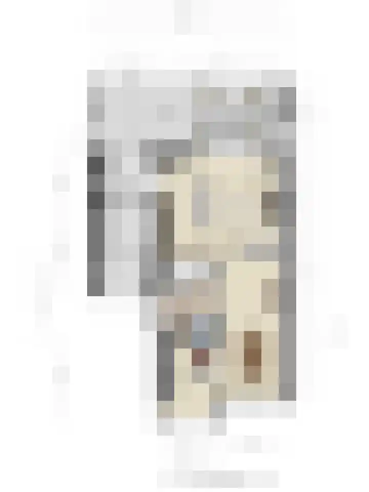 Holevoetlaan 44 d Scherpenzeel thumbnail 45