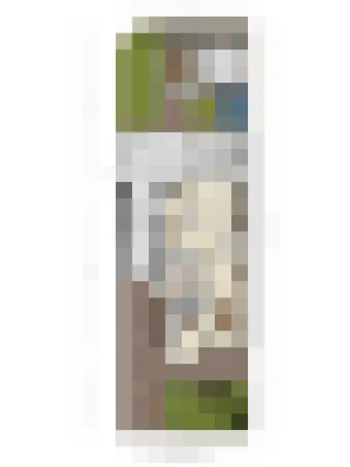 Holevoetlaan 44 d Scherpenzeel thumbnail 48