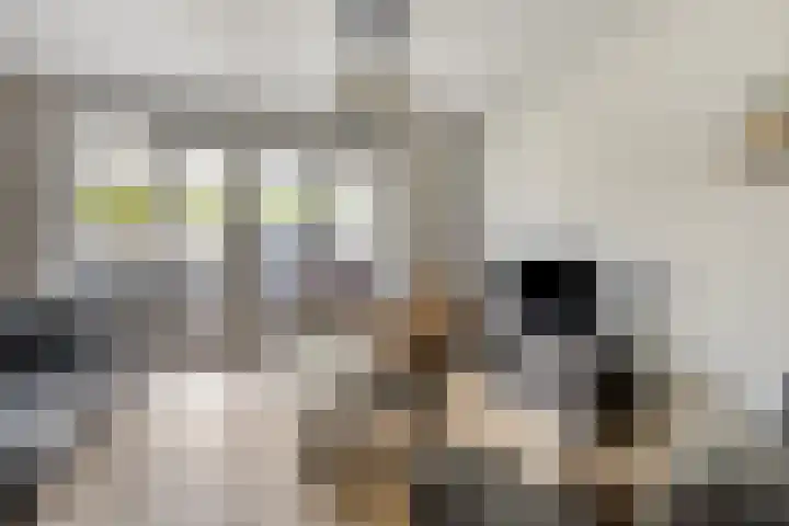 Holevoetlaan 44 d Scherpenzeel thumbnail 5