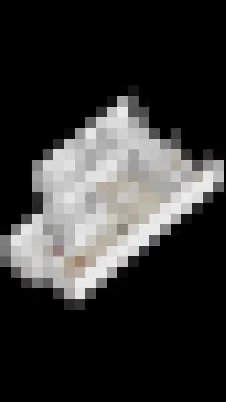 Holevoetlaan 44 d Scherpenzeel thumbnail 50