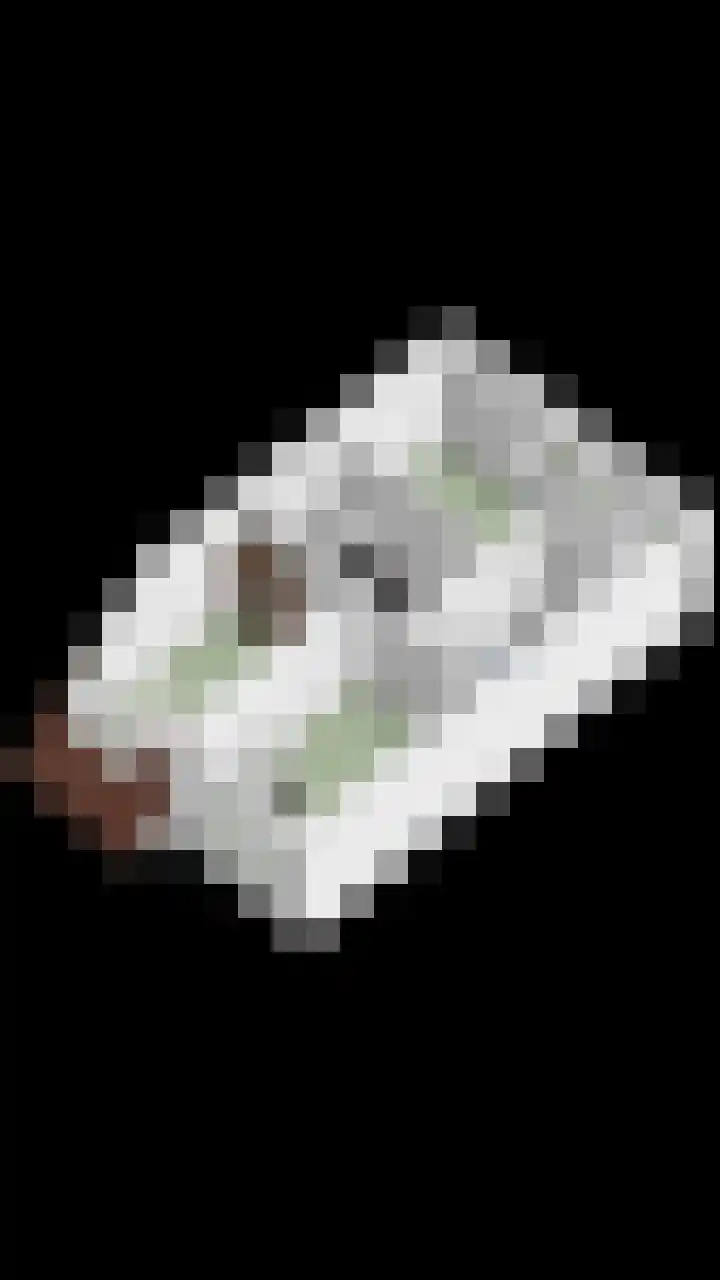 Holevoetlaan 44 d Scherpenzeel thumbnail 51