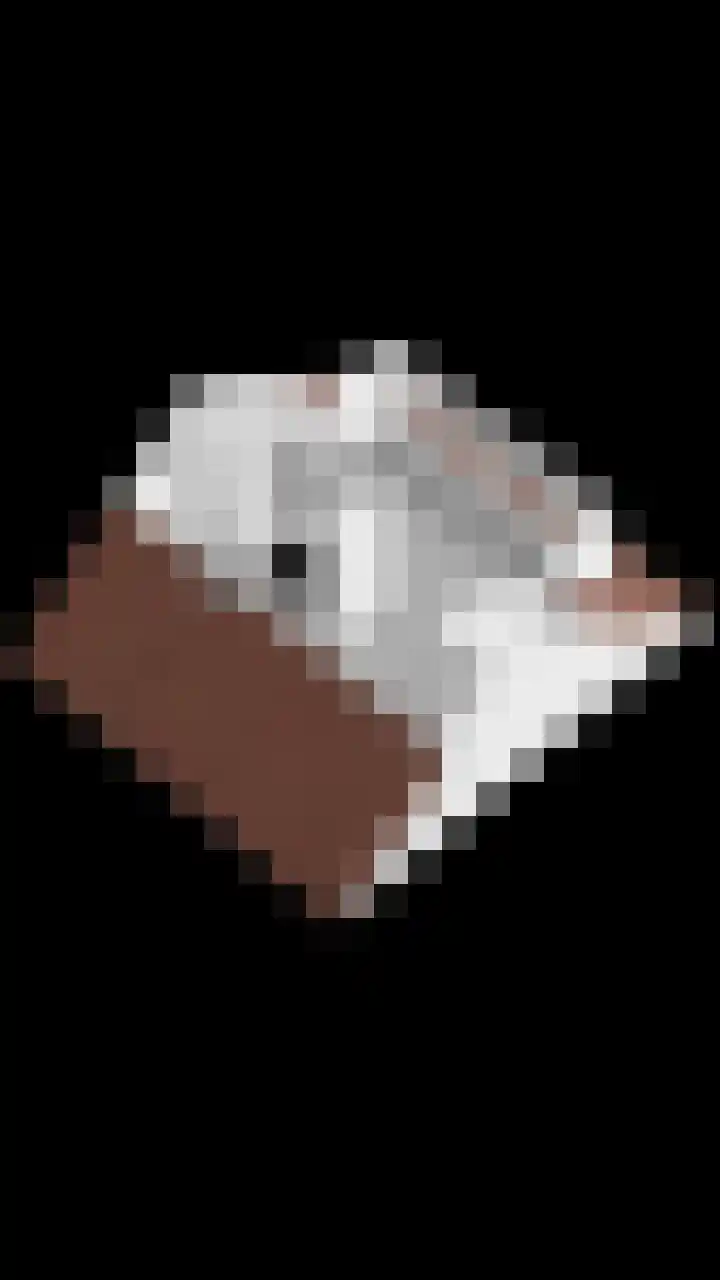 Holevoetlaan 44 d Scherpenzeel thumbnail 52