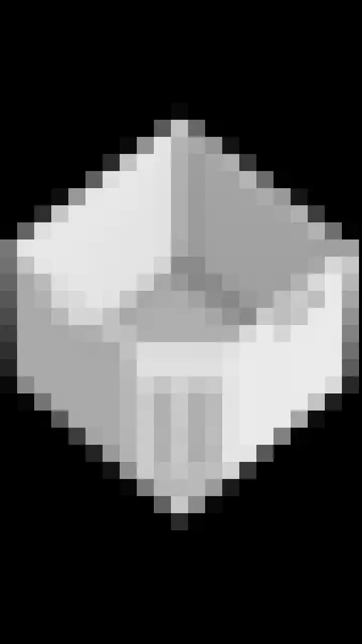Holevoetlaan 44 d Scherpenzeel thumbnail 53
