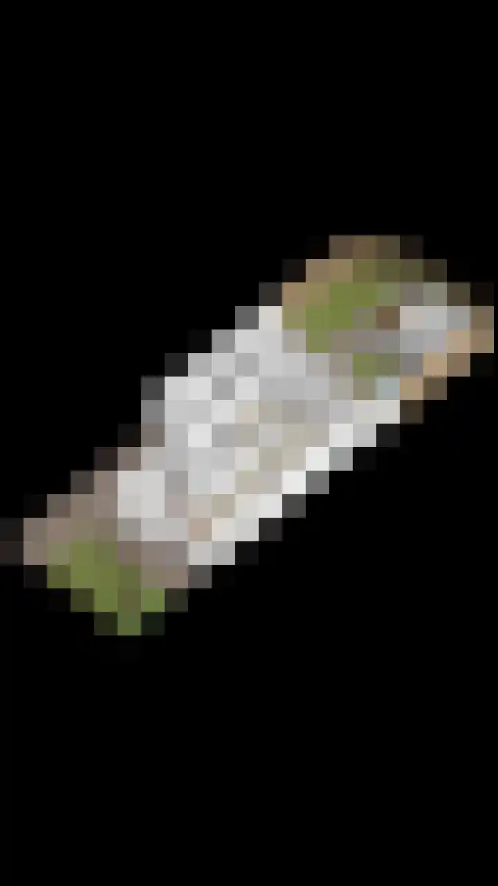 Holevoetlaan 44 d Scherpenzeel thumbnail 54