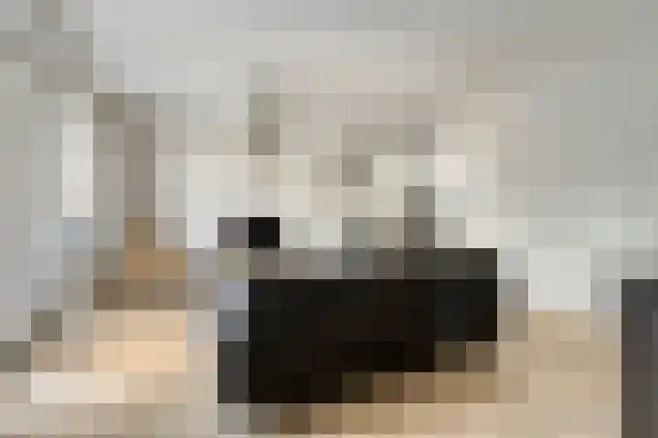 Holevoetlaan 44 d Scherpenzeel thumbnail 7
