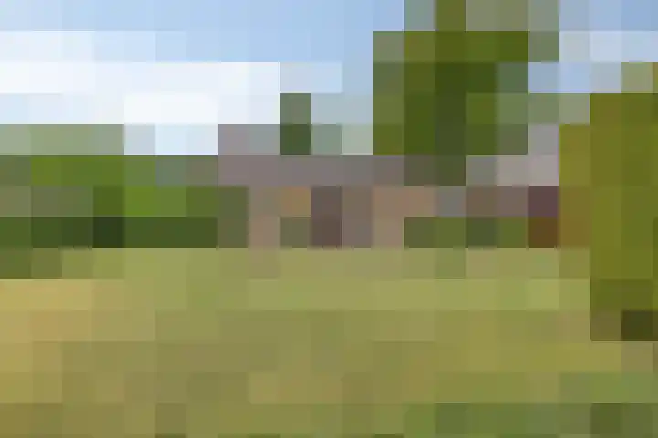 Holevoetlaan 45 Scherpenzeel