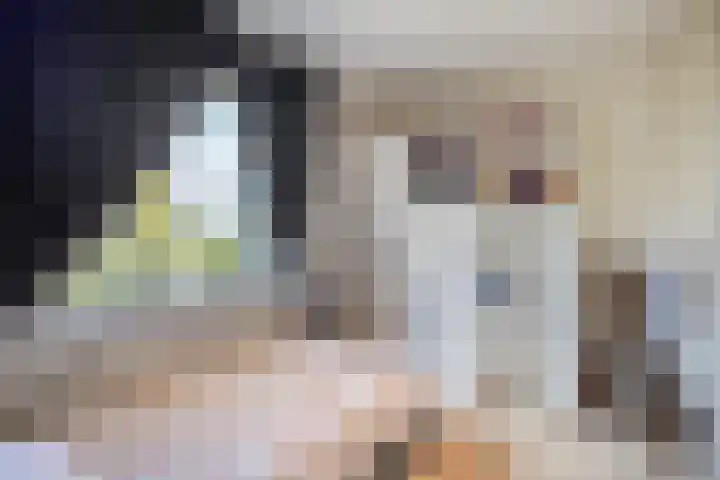 Holevoetlaan 45 Scherpenzeel thumbnail 11
